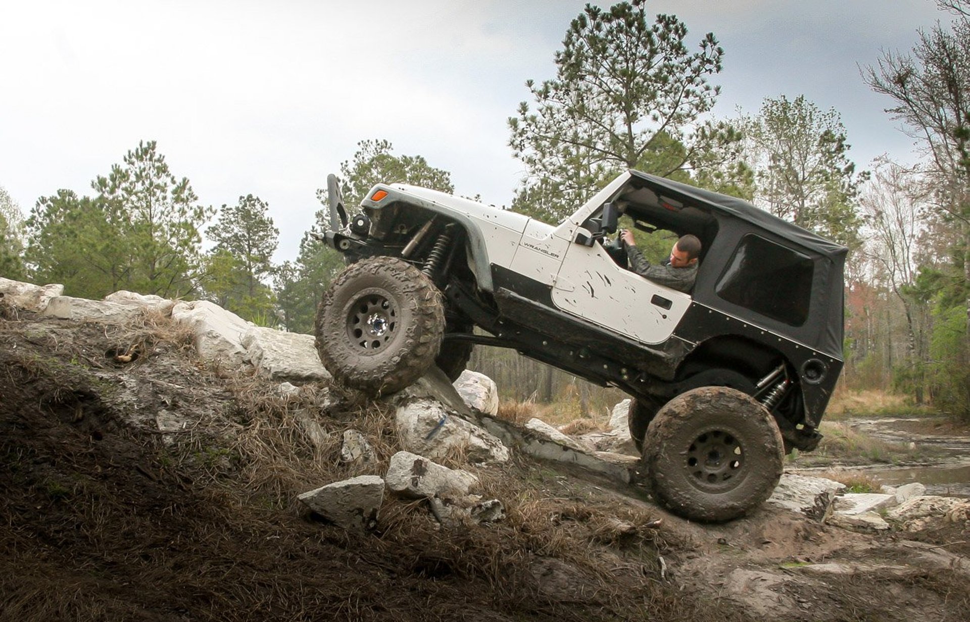 Body Lift Basics: Everything You Need to Know