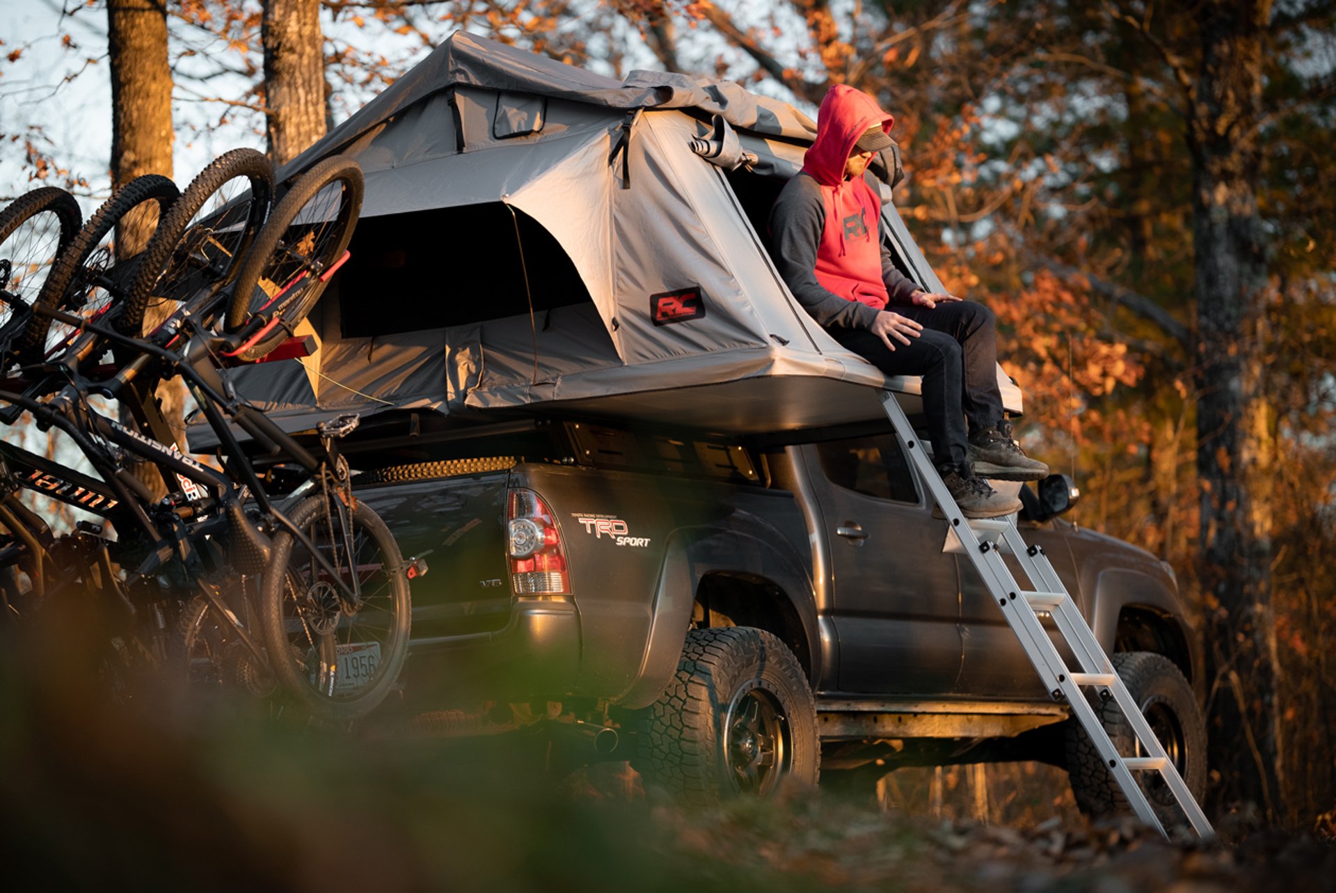 In the Spotlight with Chase Cherubini