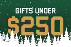 Gifts Under $250