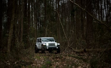 JL Rubicon