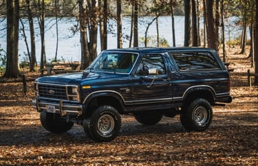 1980 Bronco 