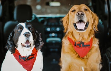 2018 Jeep Wrangler JLU