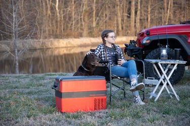 45L portable fridge/freezer