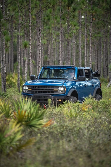 Ford Bronco,Point Washington State Forest
