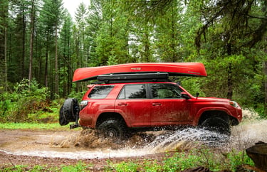 trail riding