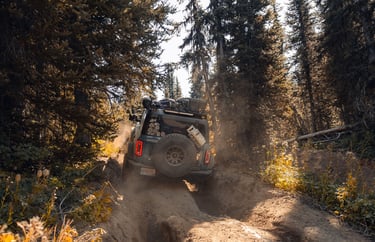 Lifted Bronco