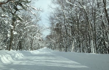 Upper Peninsula, Michigan