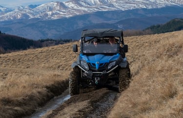 Offroading UTV