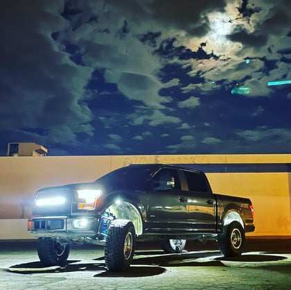 6 Inch Lifted 2017 Ford F-150 2WD