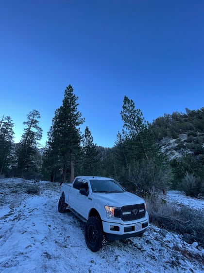6 Inch Lifted 2019 Ford F-150 4WD