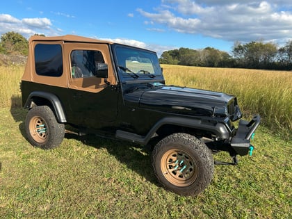 1.5 inch Lifted 1994 Jeep Wrangler 4WD