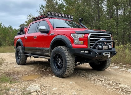 2016 Ford F-150 4WD