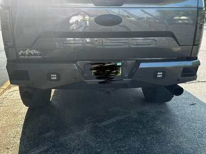 6 Inch Lifted 2019 Ford F-150 4WD