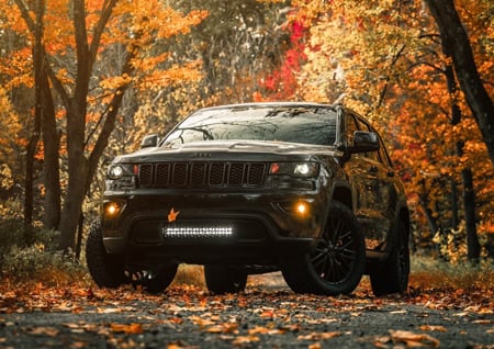 fall-is-here-time-to-kick-overlanding-into-high-gear-image