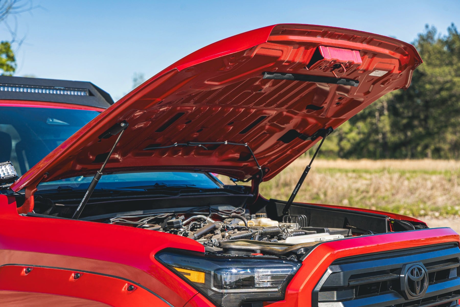 Hood Struts | Hydraulic | Toyota Tacoma 2WD/4WD (2024-2026) view 4
