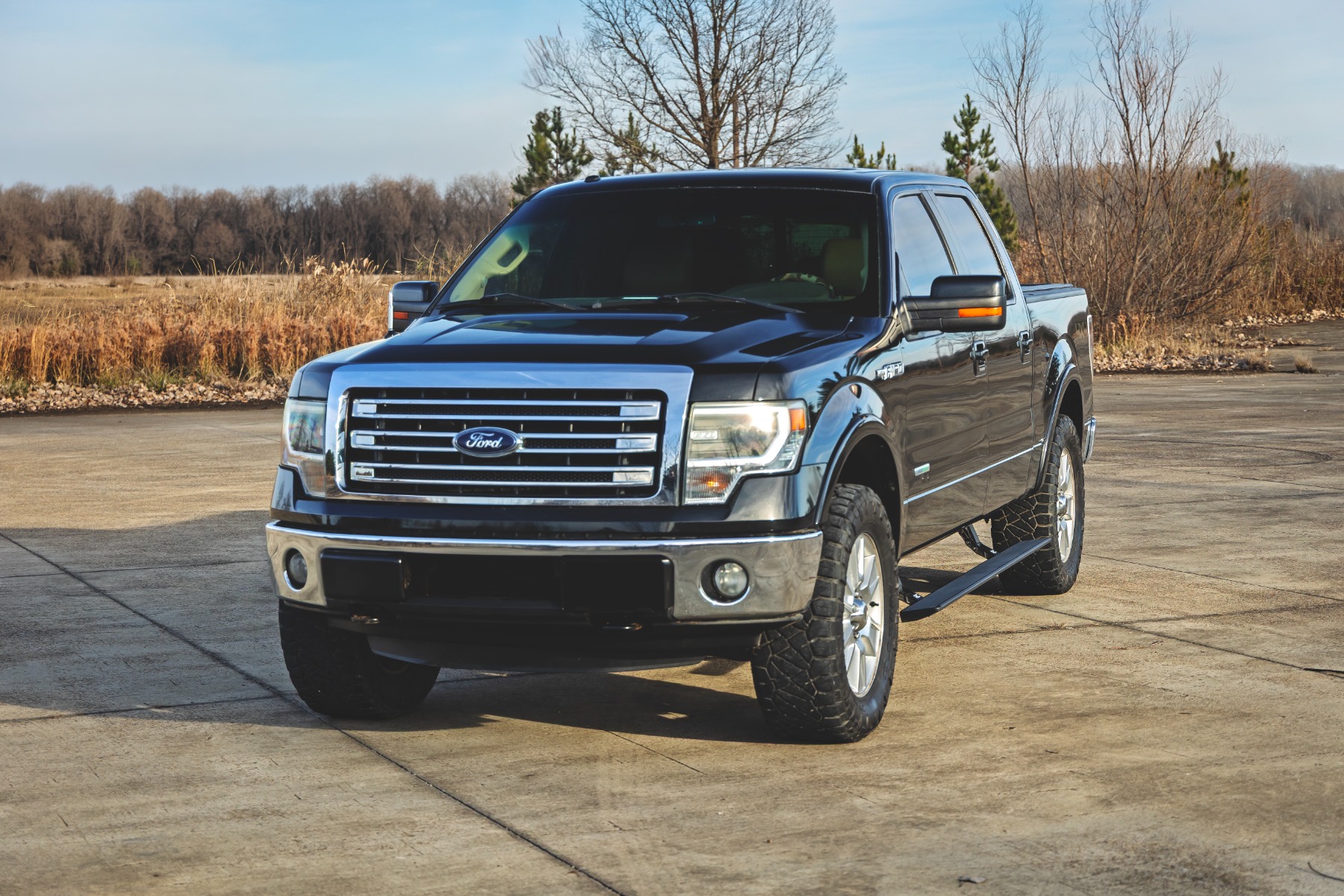 Power Running Boards | Crew Cab | Ford F-150 (2009-2014) — view 6