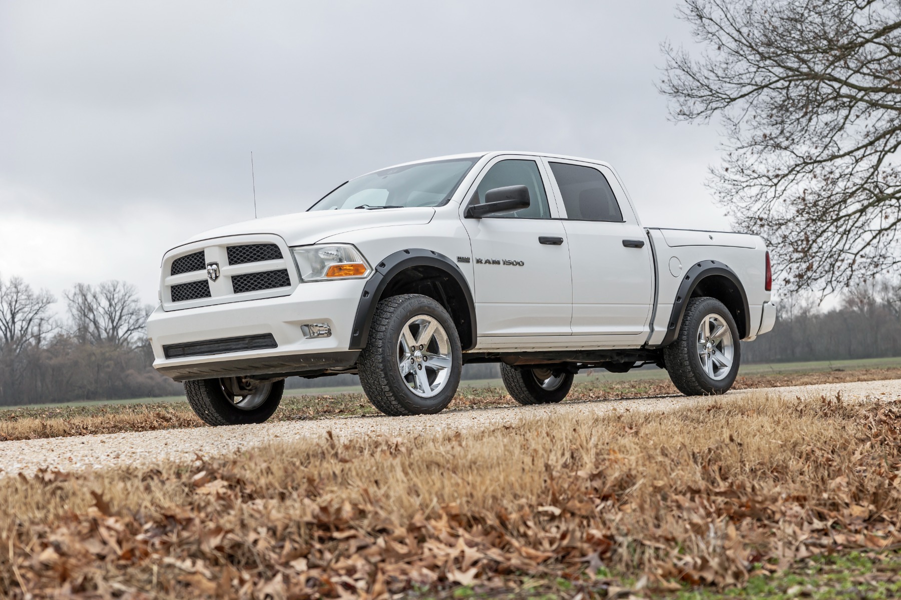 Pocket Fender Flares | PAU Granite Crystal | Ram 1500 2WD/4WD (2009-2018 & Classic) — view 2