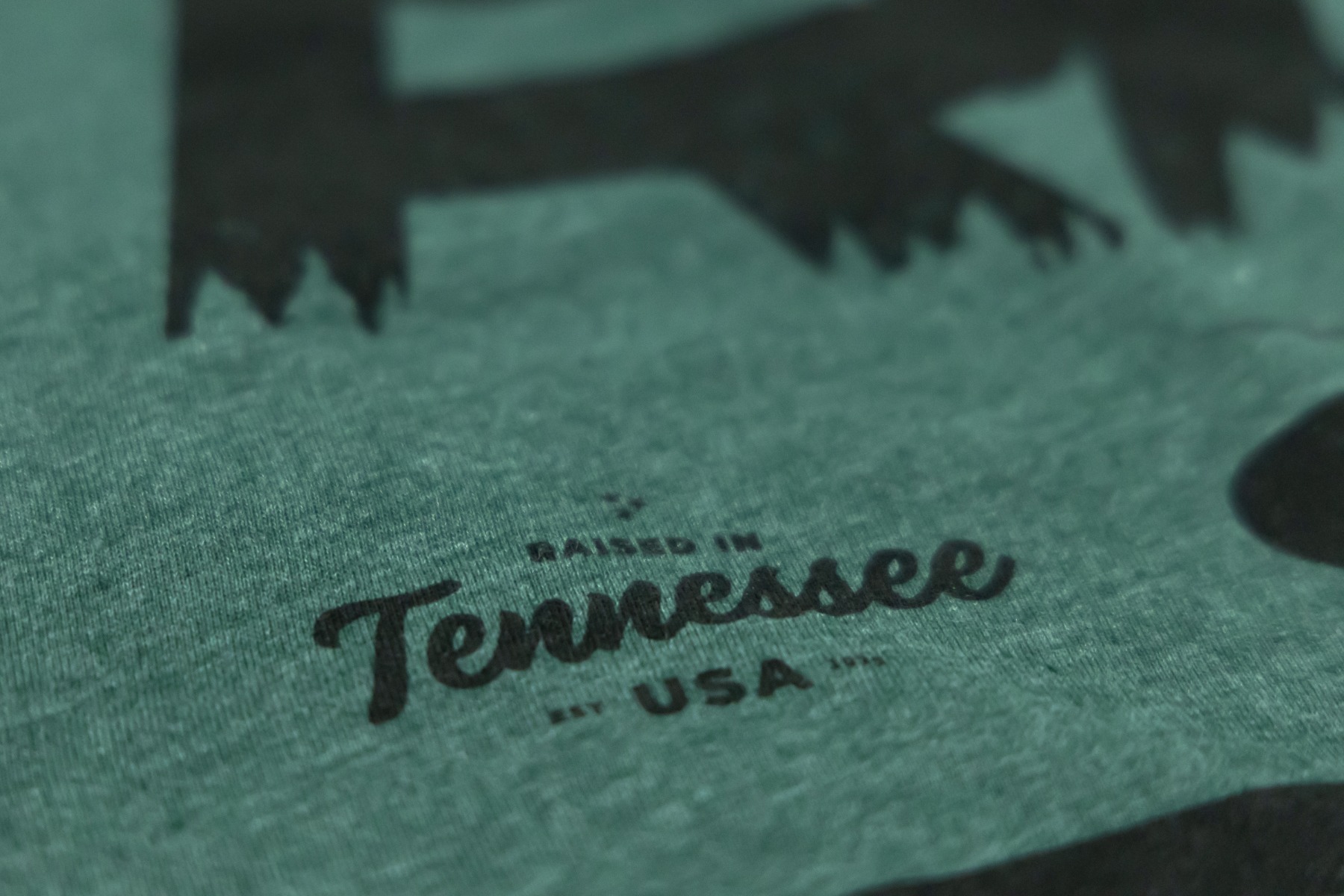 Rough Country T-Shirt | RC Mountains | Forest Green | 3XL — view 4