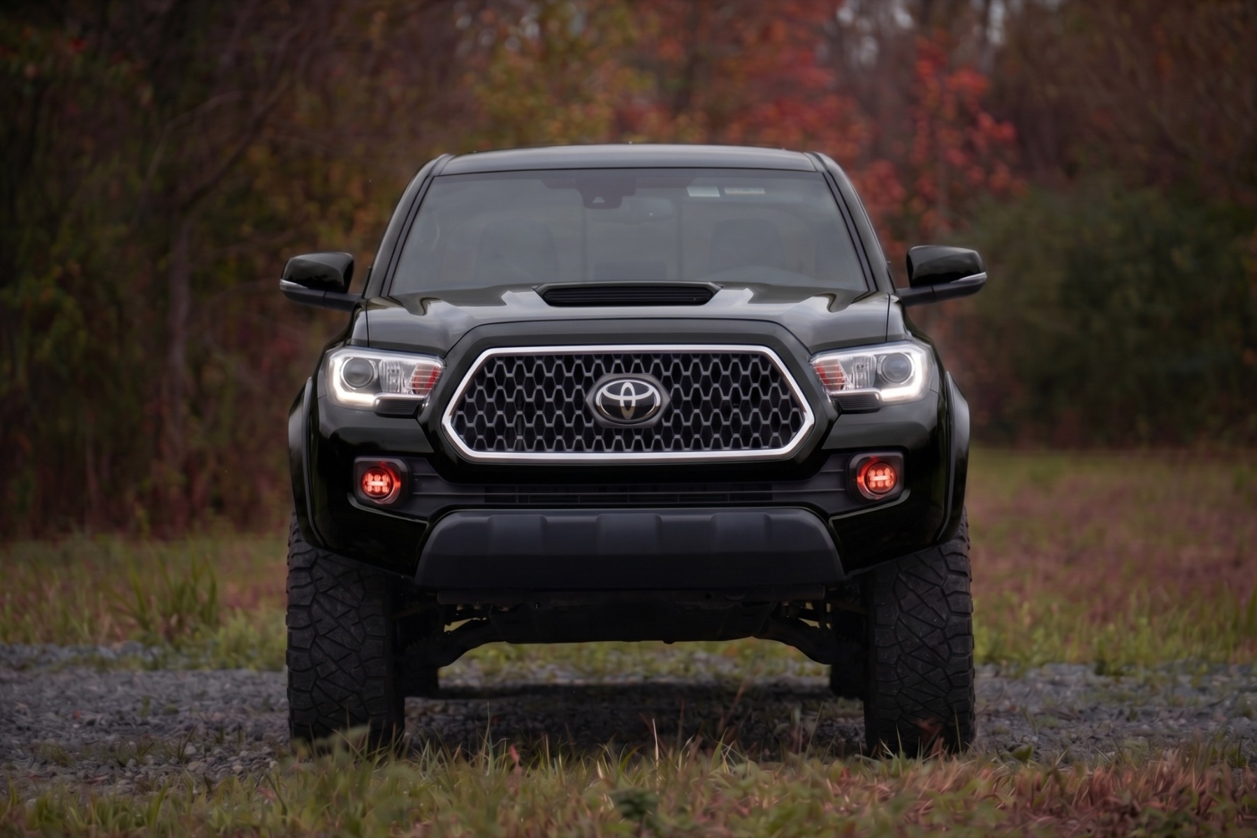 Sport Fender Flares | 202 Black Onyx | Toyota Tacoma 2WD/4WD (2016-2023) — view 5