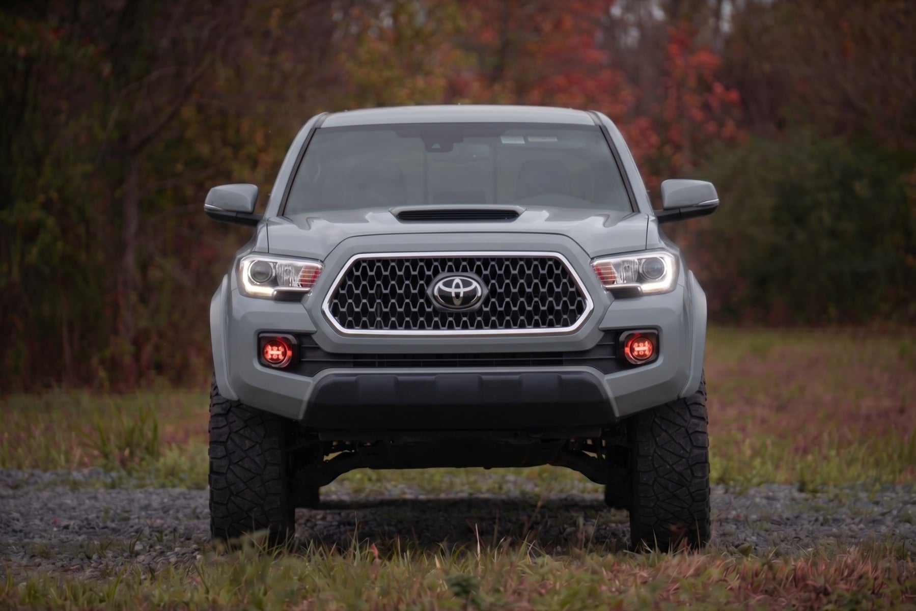 Sport Fender Flares | 1H5 Cement | Toyota Tacoma 2WD/4WD (2016-2023) view 5