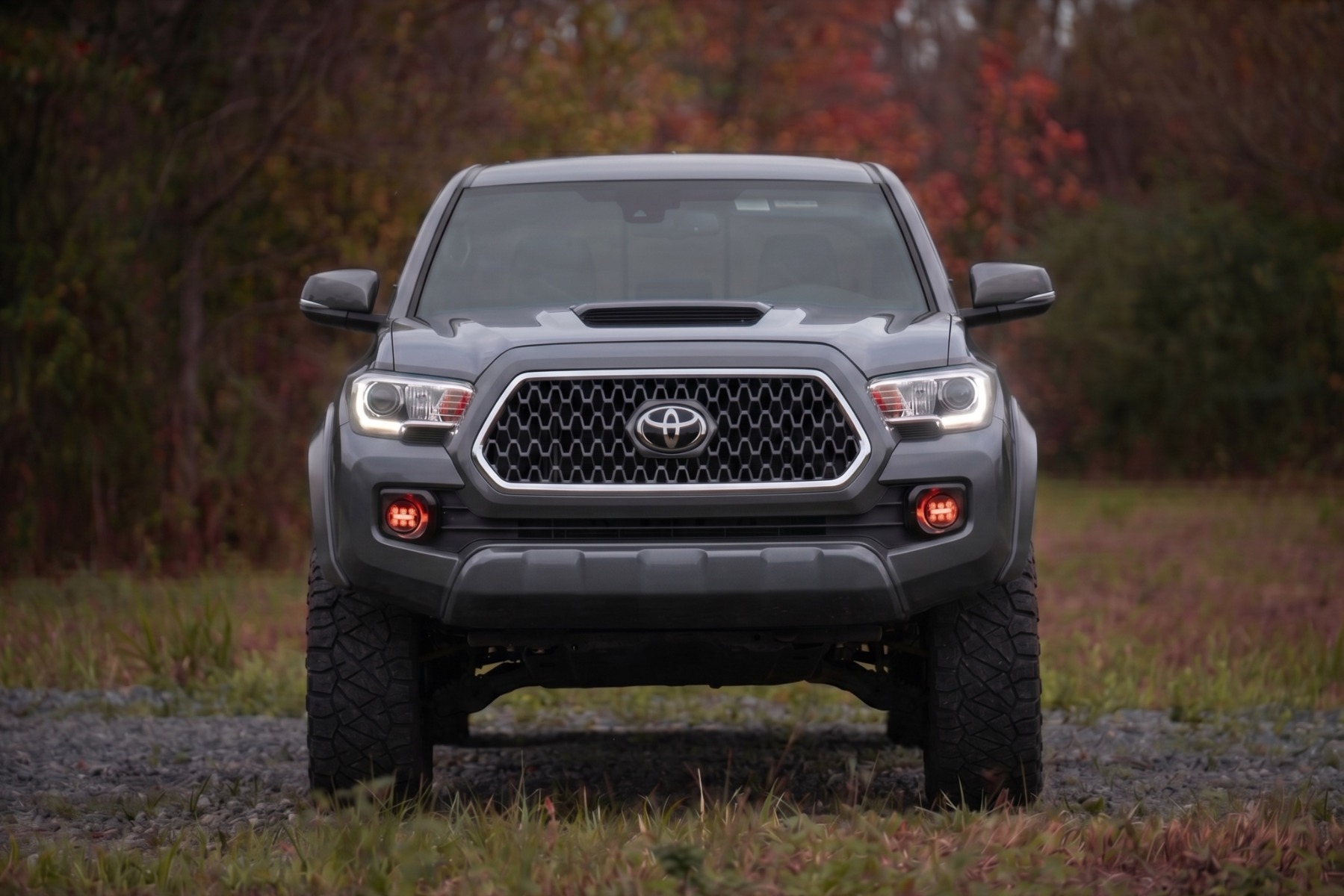 Sport Fender Flares | 1G3 Magnetic Grey | Toyota Tacoma 2WD/4WD (2016-2023) view 5