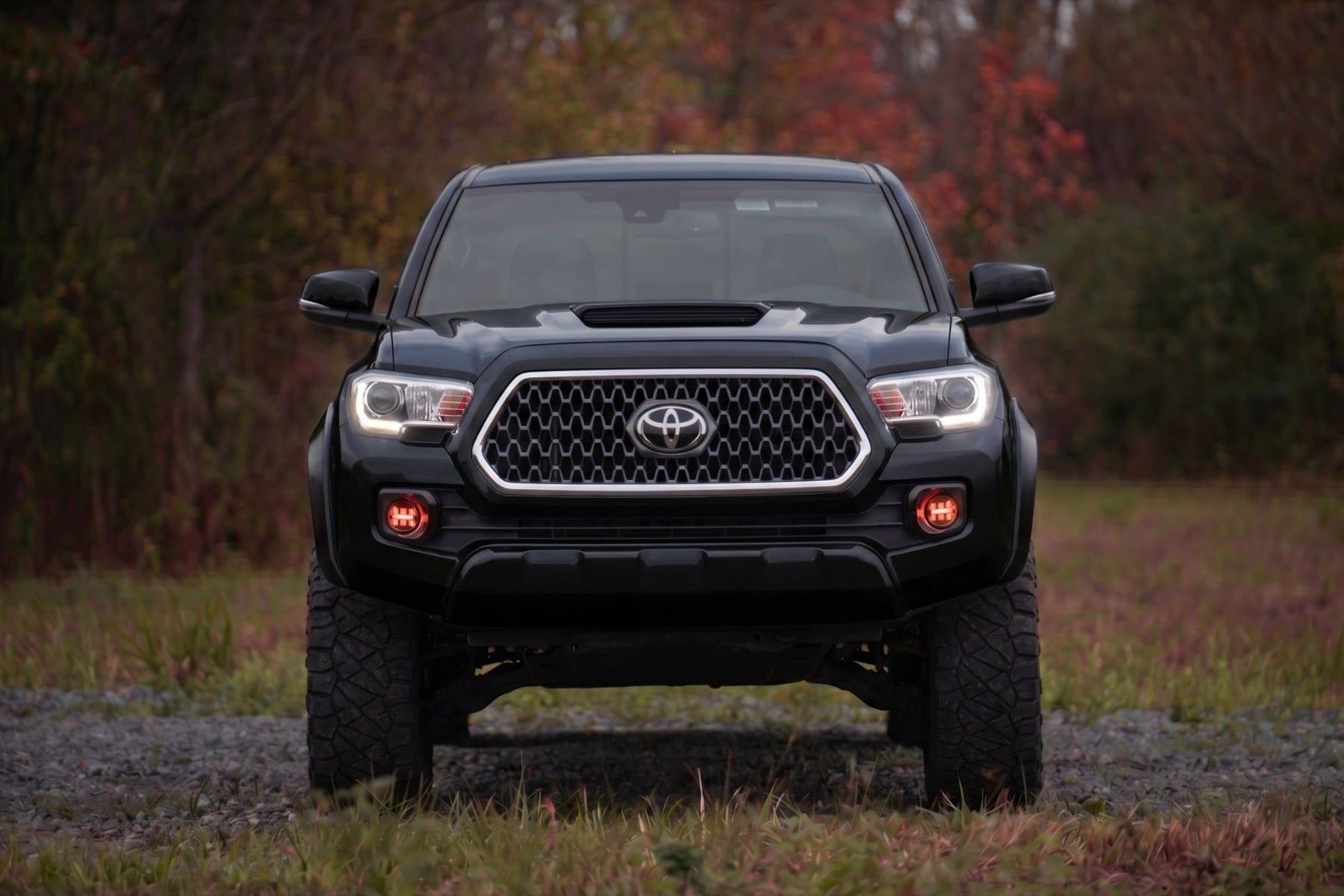 Sport Fender Flares | 218 Midnight Black Metallic | Toyota Tacoma (16-23) view 5