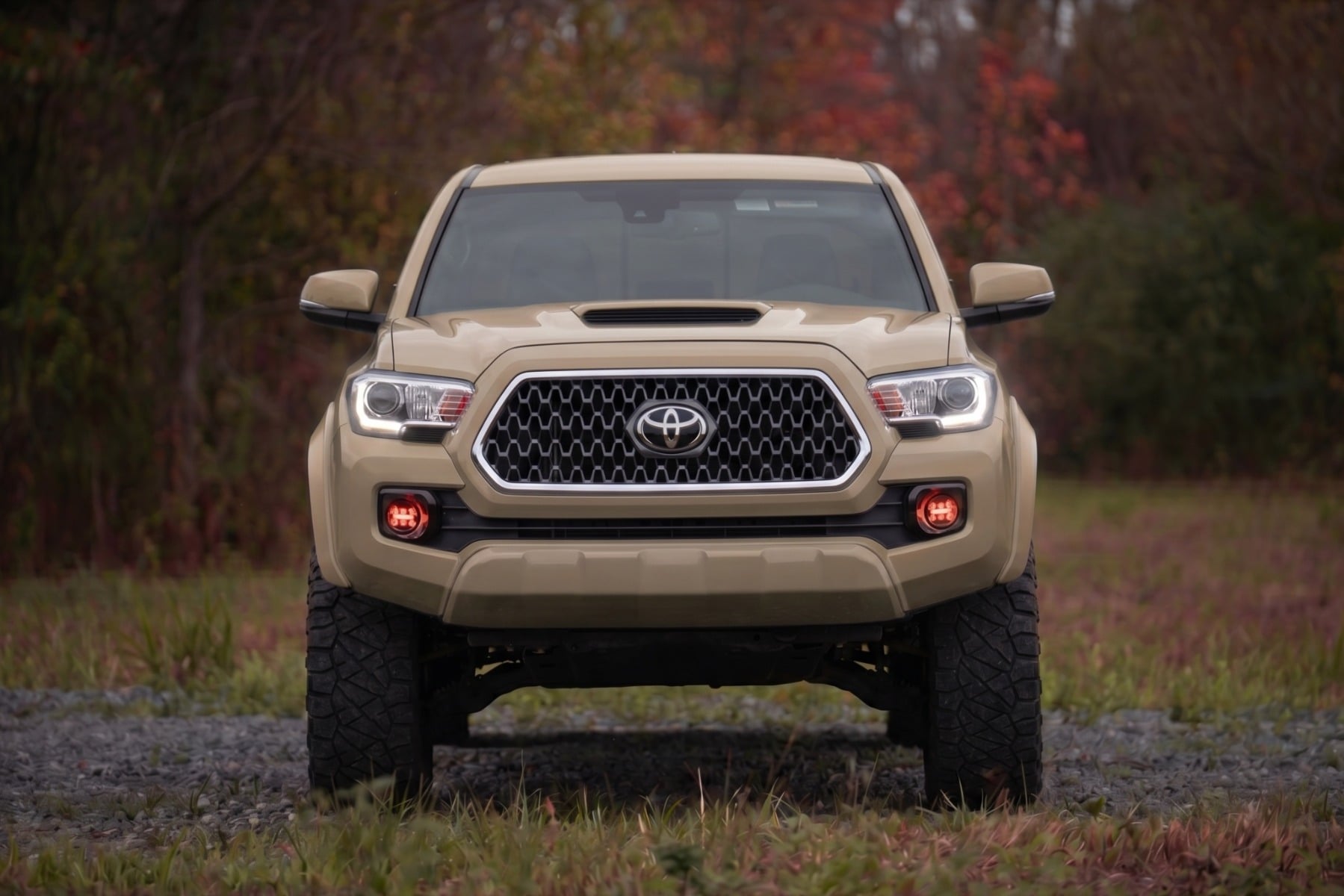 Sport Fender Flares | 4V6 Quicksand | Toyota Tacoma 2WD/4WD (2016-2023) view 5