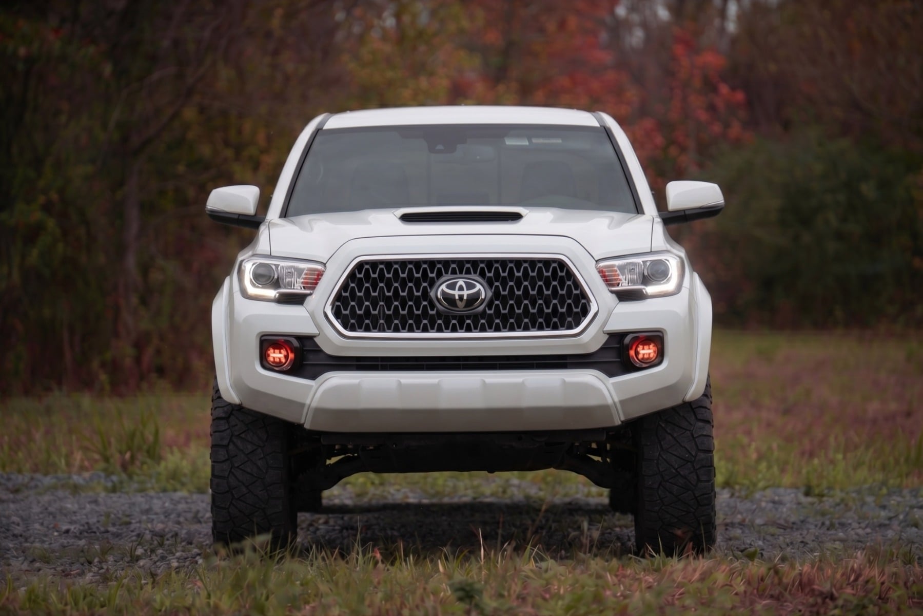Sport Fender Flares | 089 Wind Chill | Toyota Tacoma 2WD/4WD (2016-2023) view 4