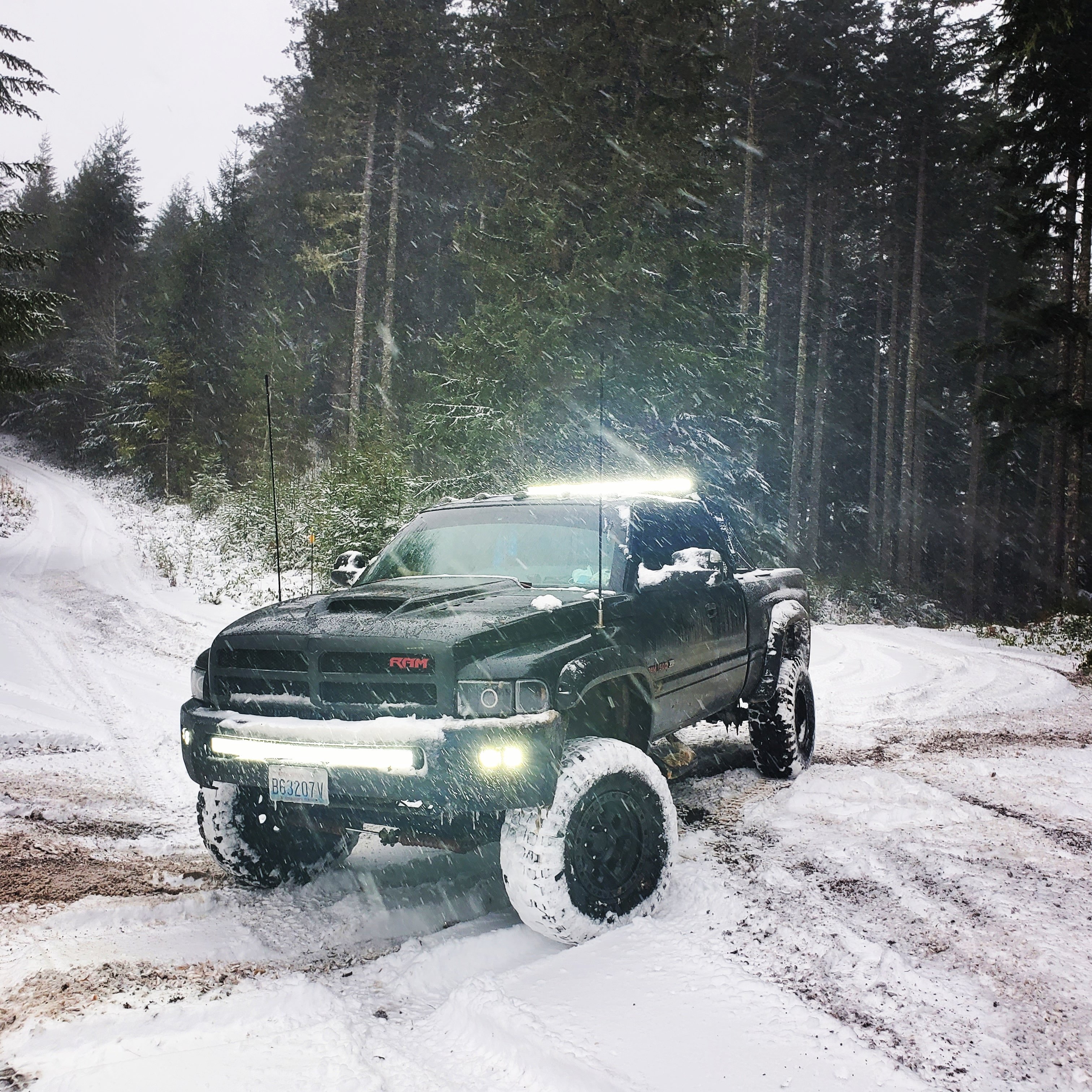 フラワー・リース RAM1500 7 Inch Lifted 1997 Dodge Ram 1500 4WD Customer Build by